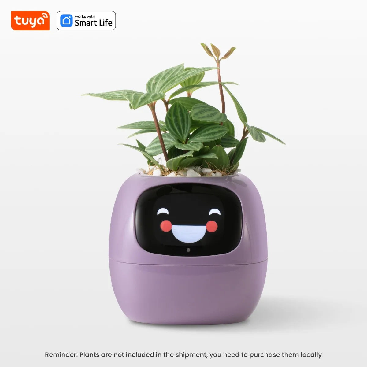 🌱 Fioriera Intelligente Bianca con AI