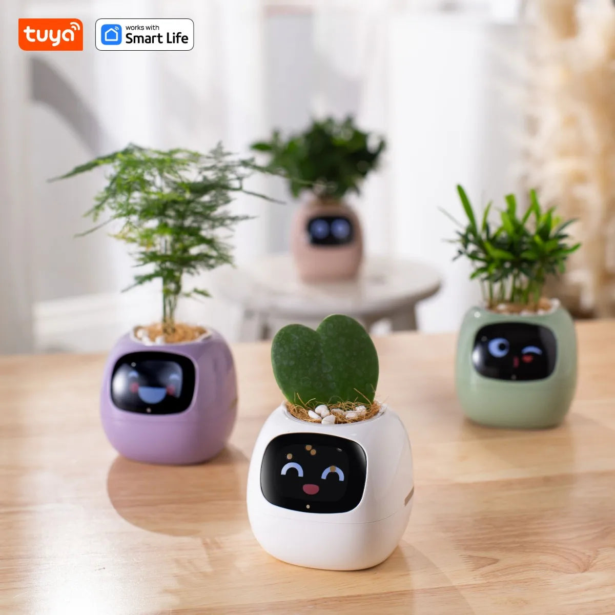 🌱 Fioriera Intelligente Bianca con AI