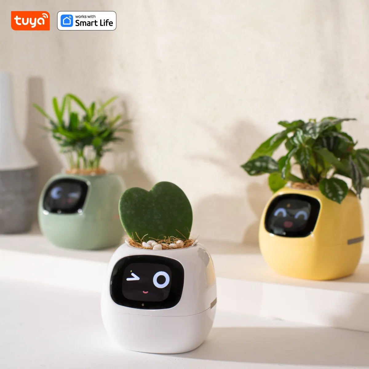 🌱 Fioriera Intelligente Bianca con AI