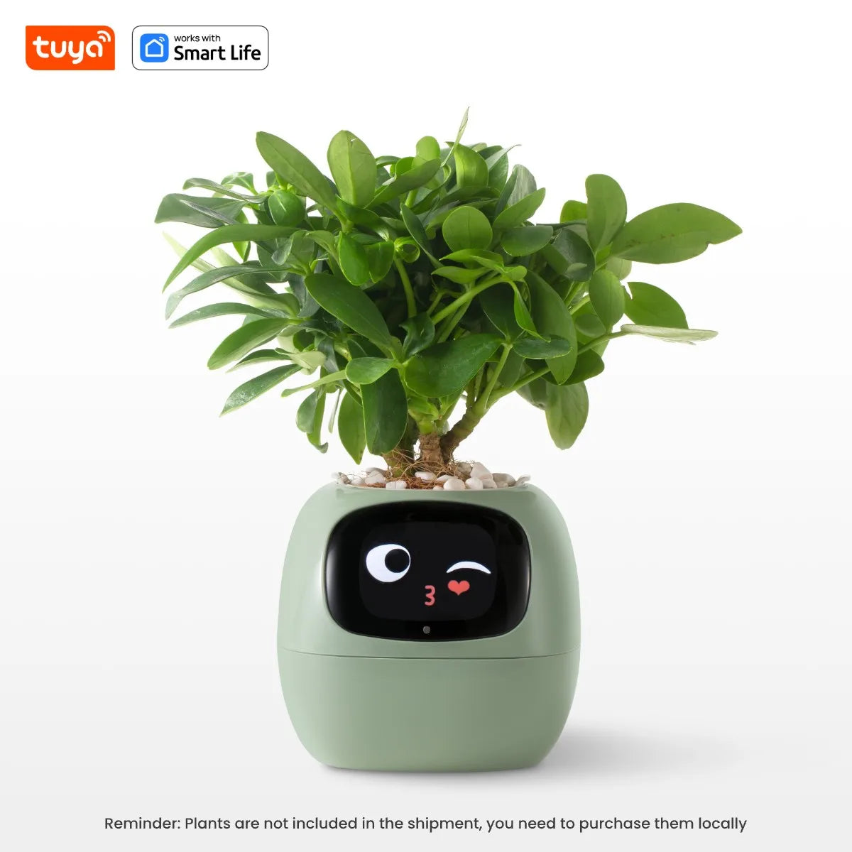 🌱 Fioriera Intelligente Bianca con AI
